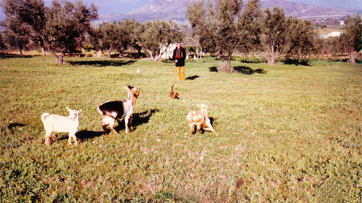 Campo edémico - La baltasara