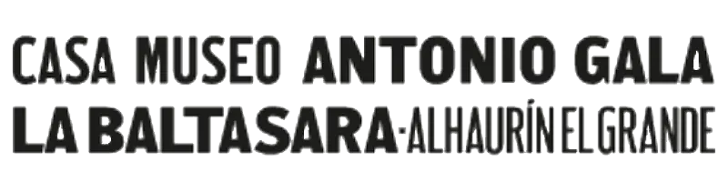 Logo Museo La Baltasara