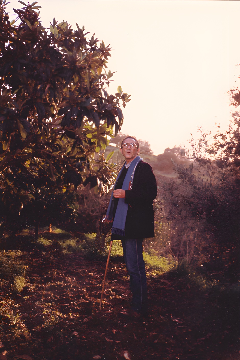 Campo-edemico-3-La-baltasara-_Nero_AI_